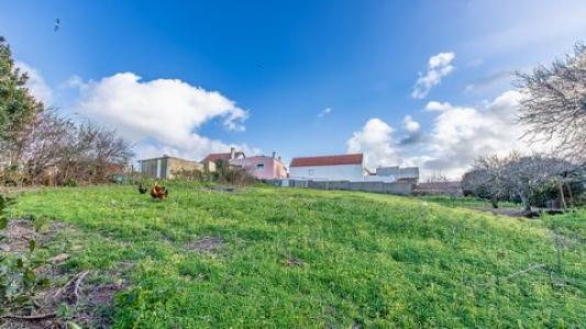 Annonce Vente Terrain Mafra