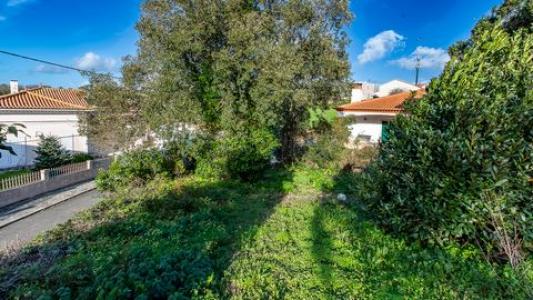 Acheter Terrain Mafra r�gion LISBOA