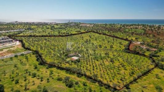 Acheter Terrain 32767 m2 Albufeira