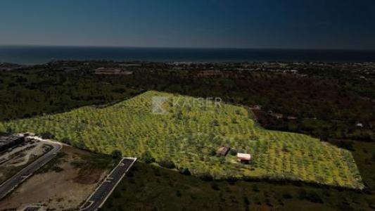 Acheter Terrain Albufeira r�gion FARO