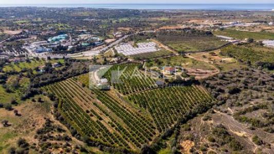 Annonce Vente Maison Silves