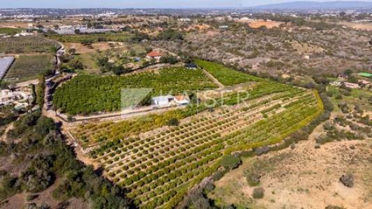 Acheter Maison 75 m2 Silves