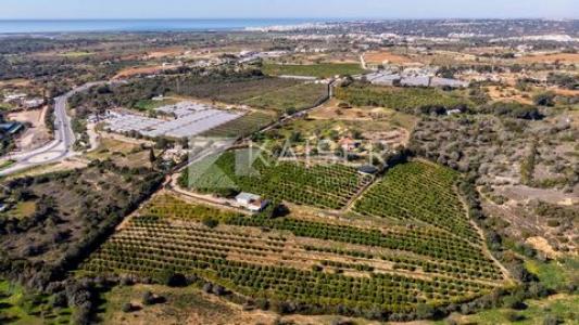 Acheter Maison Silves r�gion FARO