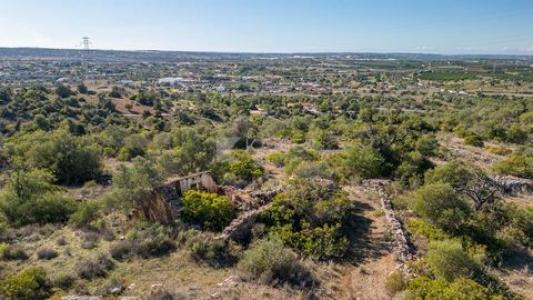 Annonce Vente Terrain Tunes