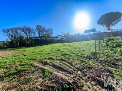 Acheter Terrain 2465 m2 Caldas-da-rainha