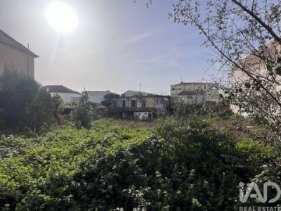 Acheter Terrain 788 m2 Bombarral