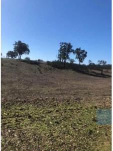 Acheter Terrain 32767 m2 Cercal-do-alentejo