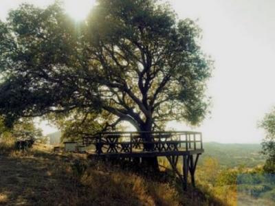 Acheter Terrain Cercal-do-alentejo r�gion SETUBAL