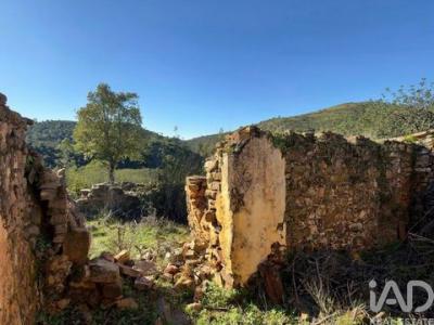 Acheter Terrain 16400 m2 Silves