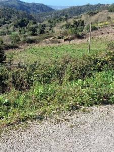 Acheter Terrain 18800 m2 Alcobaca