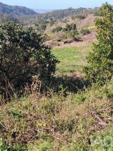 Acheter Terrain Alcobaca r�gion LEIRIA