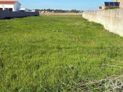 Annonce Vente Terrain Salvaterra-de-magos