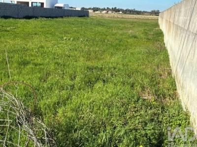 Acheter Terrain 1072 m2 Salvaterra-de-magos