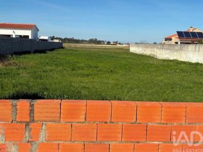 Acheter Terrain Salvaterra-de-magos r�gion SANTAREM