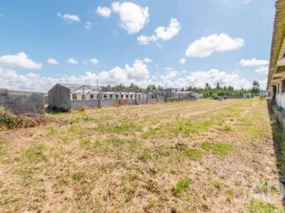 Acheter Terrain Marinha-grande r�gion LEIRIA