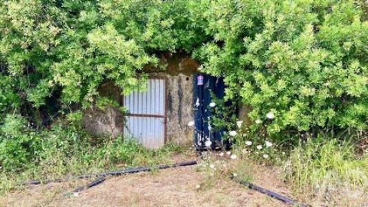 Acheter Terrain Sao-bras-de-alportel r�gion FARO