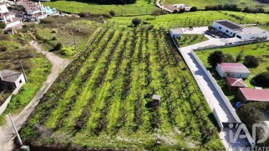 Vente Terrain Bombarral  10 au Portugal