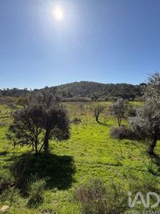 Annonce Vente Terrain Castro-marim
