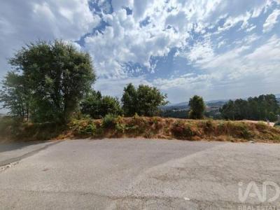 Acheter Terrain 5520 m2 Oliveira-de-azemeis