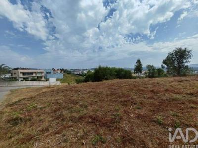 Acheter Terrain Oliveira-de-azemeis r�gion AVEIRO
