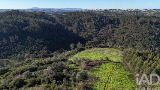 Annonce Vente Terrain Mafra