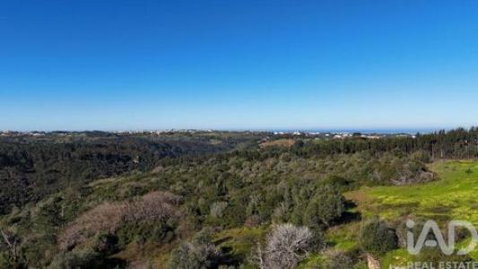 Acheter Terrain 29749 m2 Mafra