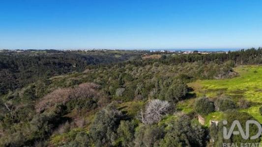 Acheter Terrain Mafra r�gion LISBOA