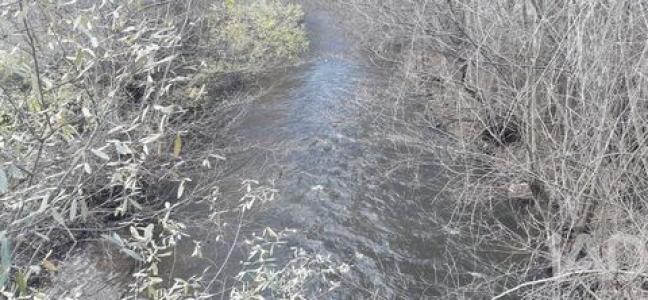 Vente Terrain Fundao  05