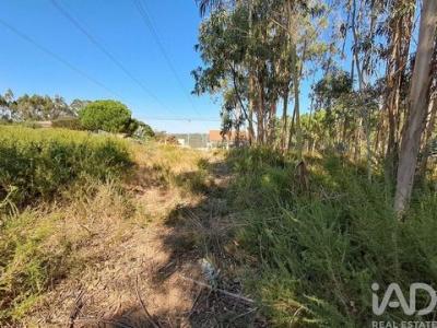 Acheter Terrain Leiria r�gion LEIRIA
