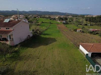 Annonce Vente Terrain Vila-nova-de-poiares