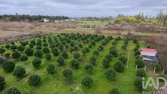 Annonce Vente Terrain Oliveira-do-hospital