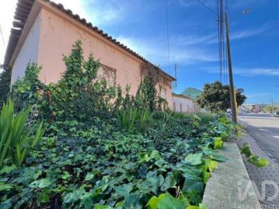 Acheter Terrain Setubal r�gion SETUBAL