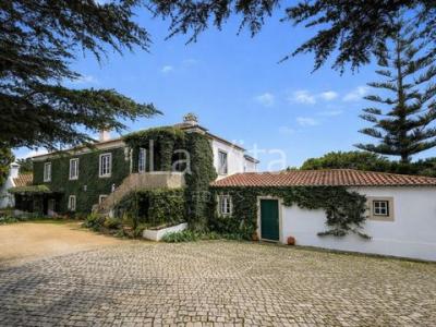 Annonce Location Appartement Sintra