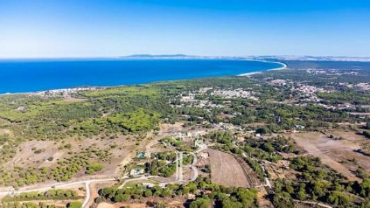 Annonce Vente Terrain Sesimbra