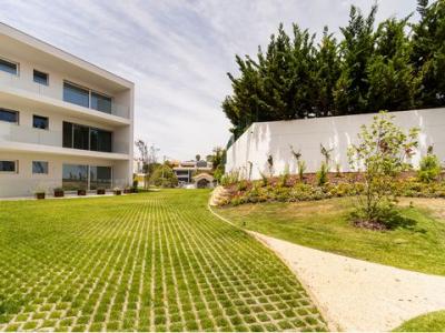 Acheter Appartement 256 m2 Alapraia