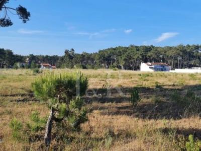 Acheter Terrain 167 m2 Sesimbra