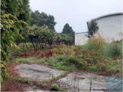 Acheter Local industriel 810 m2 Lourosa