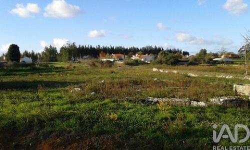 Acheter Terrain 3582 m2 Alcobaca