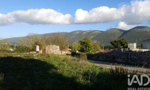 Acheter Terrain Alcobaca r�gion LEIRIA