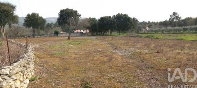 Acheter Terrain 2759 m2 Alcobaca