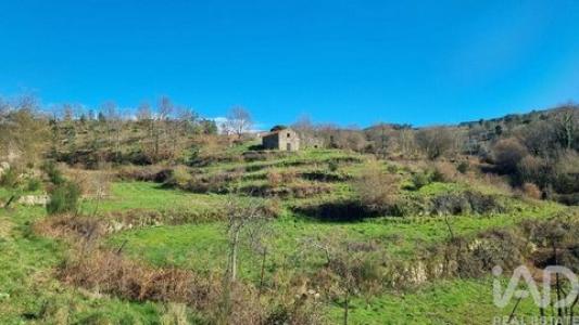 Annonce Vente Terrain Celorico-da-beira