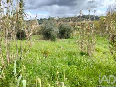 Annonce Vente Terrain Rio-maior