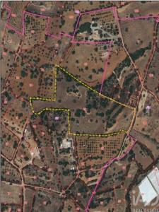 Annonce Vente Terrain Faro