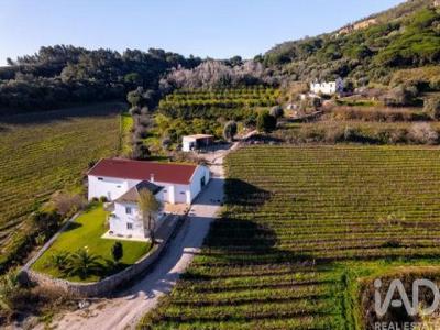 Annonce Vente Maison Setubal