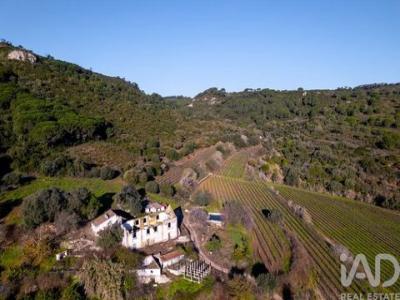 Acheter Maison Setubal r�gion SETUBAL