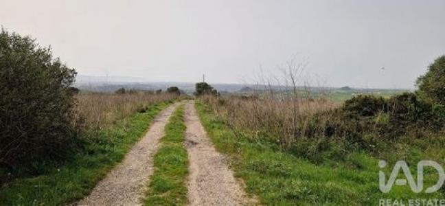 Acheter Terrain 7990 m2 Mafra