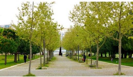 Acheter Appartement 63 m2 Almada