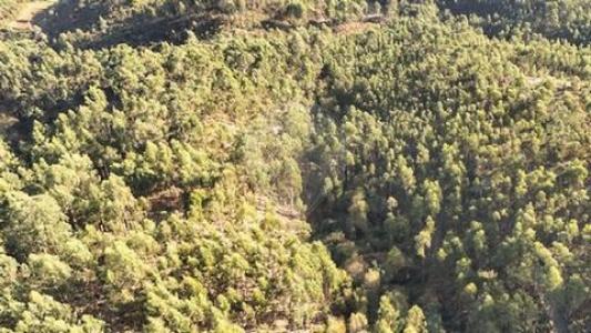 Annonce Vente Terrain Cabeceiras-de-basto