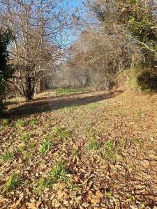 Annonce Vente Terrain Amares