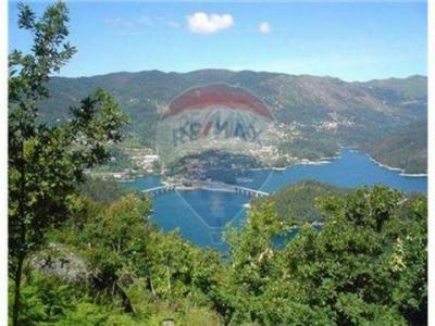 Acheter Terrain 27800 m2 Terras-de-bouro